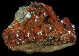 Exceptional Vanadinite Crystal Cluster - Morocco #34895-1